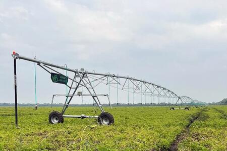 În regiunea Dnipropetrovsk (Ucraina), una dintre fermele agricole a lansat 12 mașini de irigare produse de Variant Irrigation