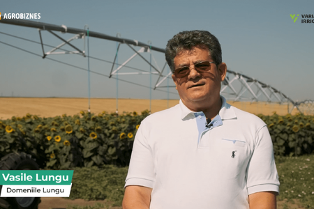 Domeniile Lungu: 350 kg grains/ha non-irrigated vs 11 tons/ha irrigated. About irrigation